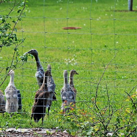 Sehr Schoene Ferienwohnung In Pose Poseritz Exteriér fotografie